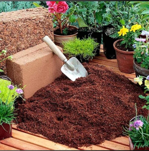 SWASTIK ORGANICS COCOPEAT Loose Powder (Ready to Use) For Plants