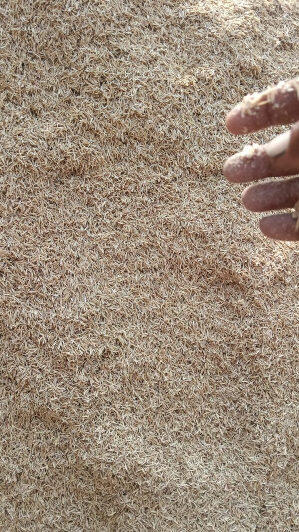 Organic Dry Rice Husk for Plants/Kitchen Garden/Home Garden