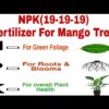 Balanced NPK 19.19.19 fertilizer for Fruit plants